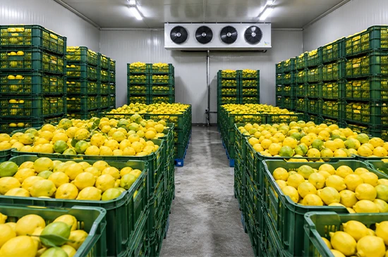 nandikoti_Lemon Cold Storage